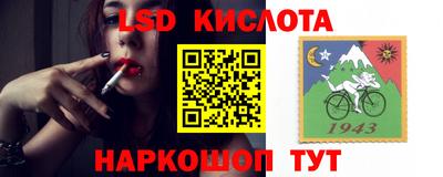 ПСИЛОЦИБИНОВЫЕ ГРИБЫ Ирбит
