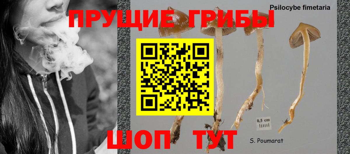 Галлюциногенные грибы мухоморы Краснотурьинск