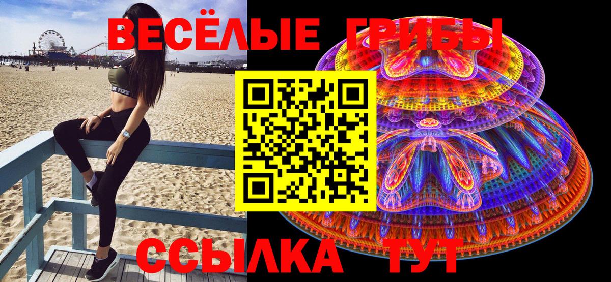 Псилоцибиновые грибы Magic Shrooms  Галлюциногенные грибы мицелий  где продают наркотики  Краснотурьинск  Вход с VPN 